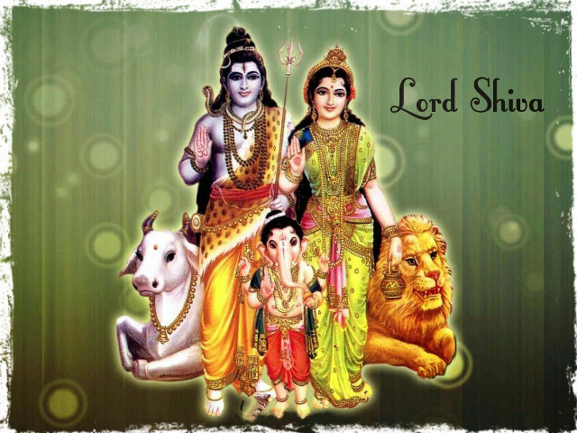 Lord shua family pets green free wallpaper for desktop - medium preview image