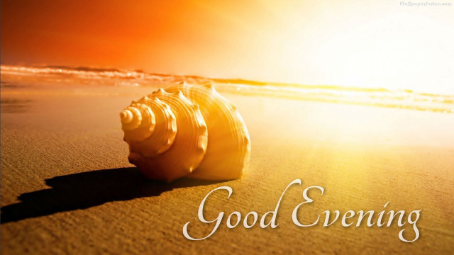 Seashell good evening sunset beach free wallpaper for desktop - medium preview image
