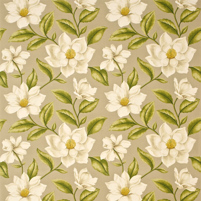 White flower beige background green free wallpaper for tablet - medium preview image