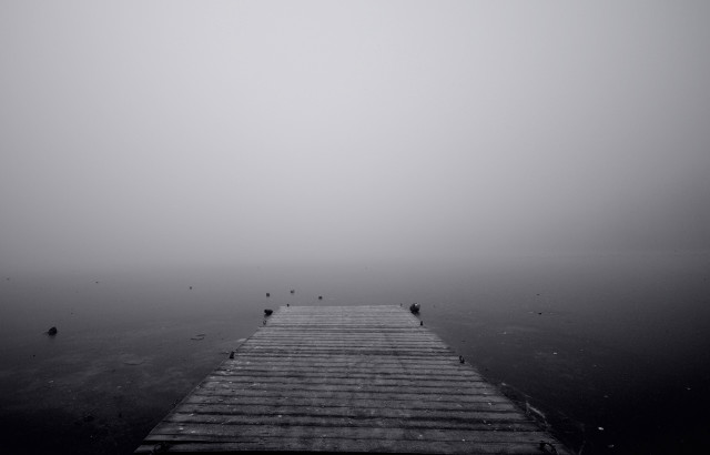 Foggy lake dock birds person free wallpaper for desktop - medium preview image