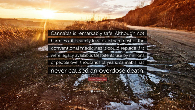 Cannabis remarkably safe not harmless free wallpaper for desktop - medium preview image