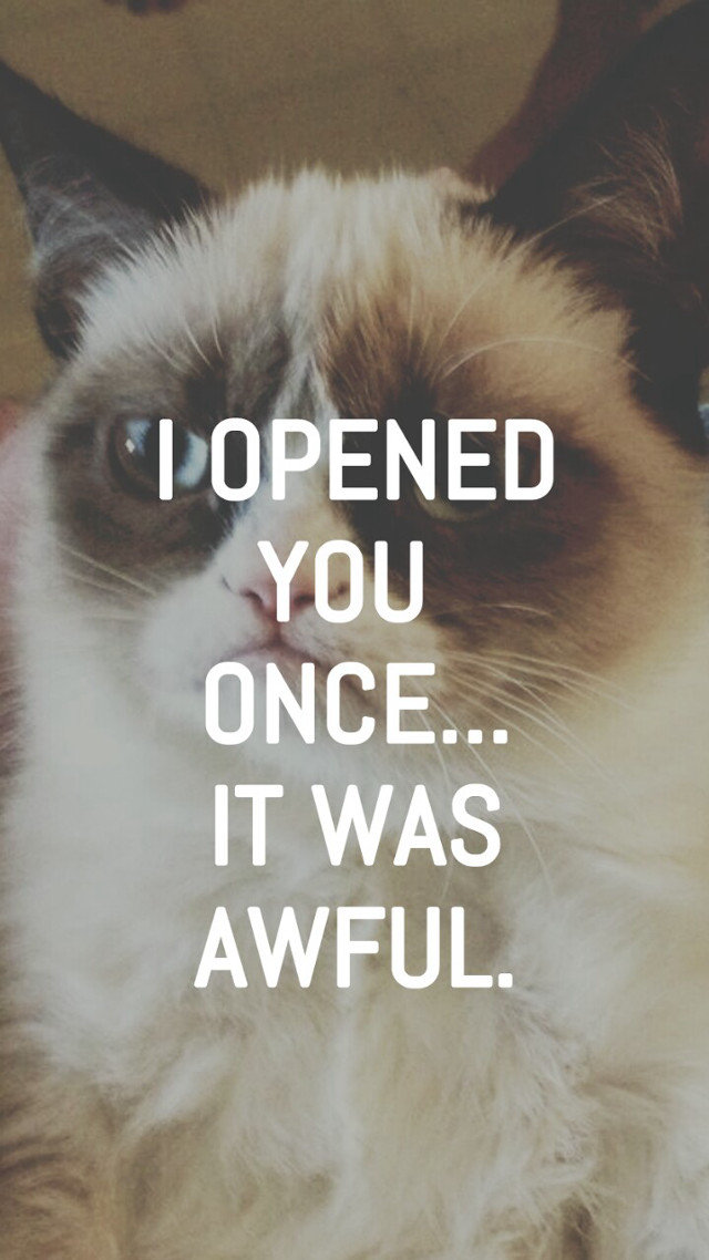 Cynical cat screenshot allen tupper free wallpaper for mobile - medium preview image