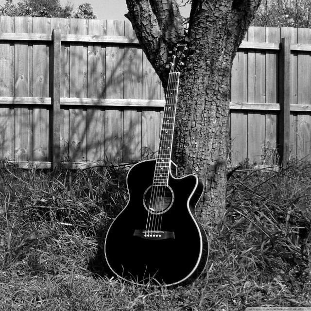 Guitar under tree grass fence free wallpaper for tablet - medium preview image