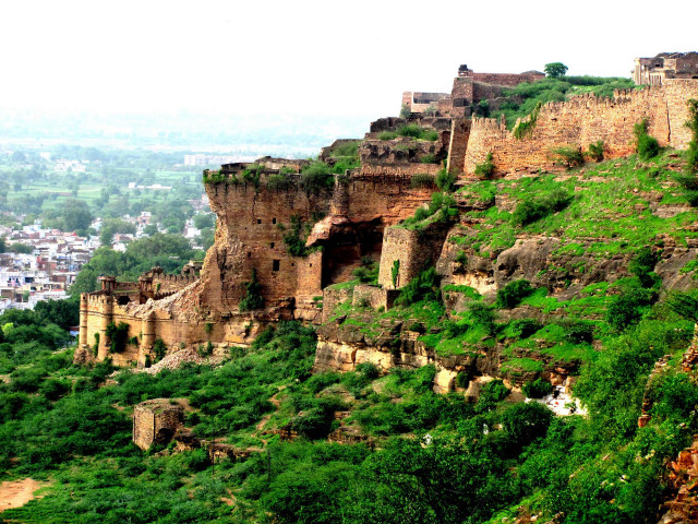 Tall cliff trees city panorama free wallpaper for desktop - medium preview image