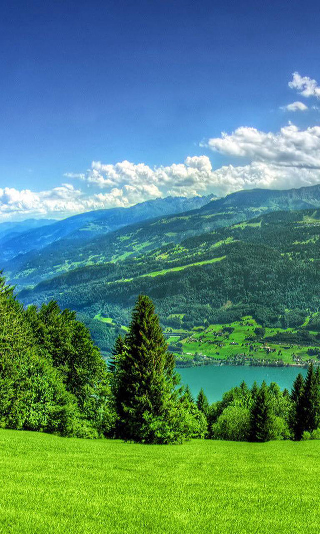Scenic lake mountains grassy field free wallpaper for mobile - medium preview image