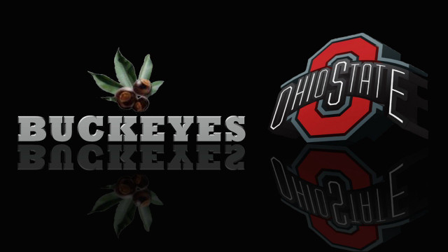 Buckeyes basketball team logo png free wallpaper for desktop - medium preview image