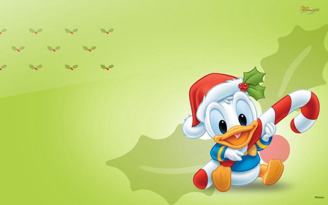 Cartoon duck christmas hat holly free wallpaper for desktop - medium preview image