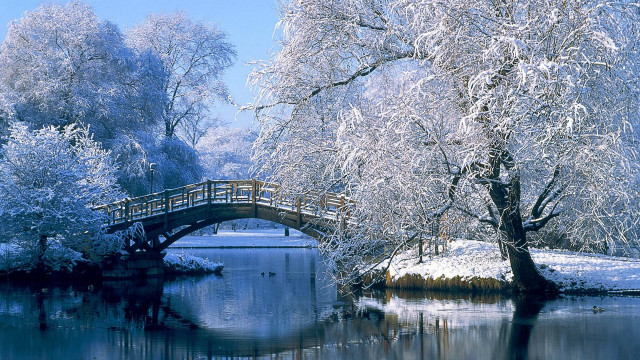 Bridge river snow covered trees free wallpaper for desktop - medium preview image