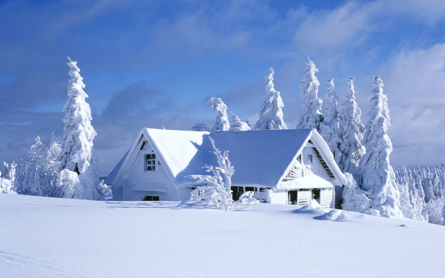 House snowy field trees blue #2 free wallpaper for desktop - medium preview image