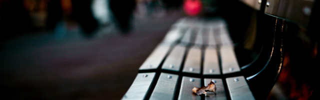 Bench small dog public area free wallpaper for desktop - medium preview image