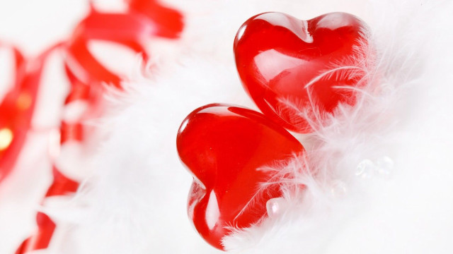 Red hearts white feathery background free wallpaper for desktop - medium preview image