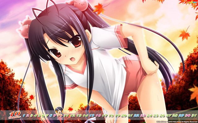 Anime girl autumn leaves long free wallpaper for desktop - medium preview image