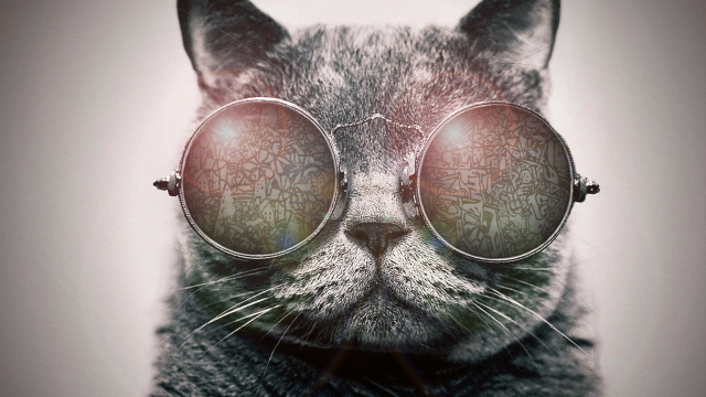 Cat glasses patterned eyes head free wallpaper for desktop - medium preview image