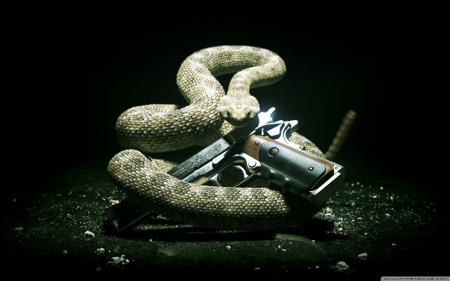 Gun snake dark lighter hand free wallpaper for desktop - medium preview image