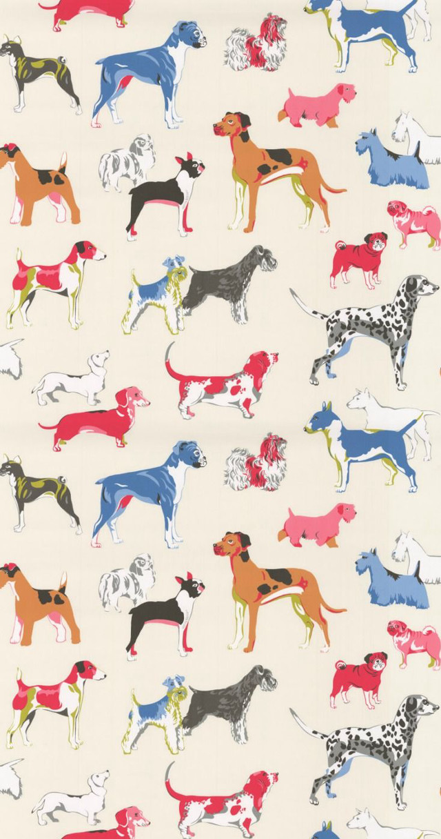 White background dogs side red free wallpaper for mobile - medium preview image