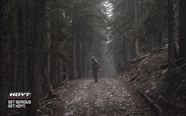 Man walking trail woods foggy free wallpaper for desktop - medium preview image