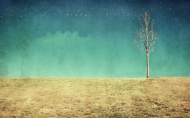 Lone tree field sky stars free wallpaper for desktop - medium preview image