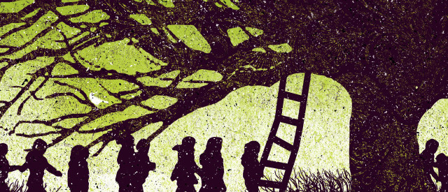 Group people tree ladder standing free wallpaper for desktop - medium preview image