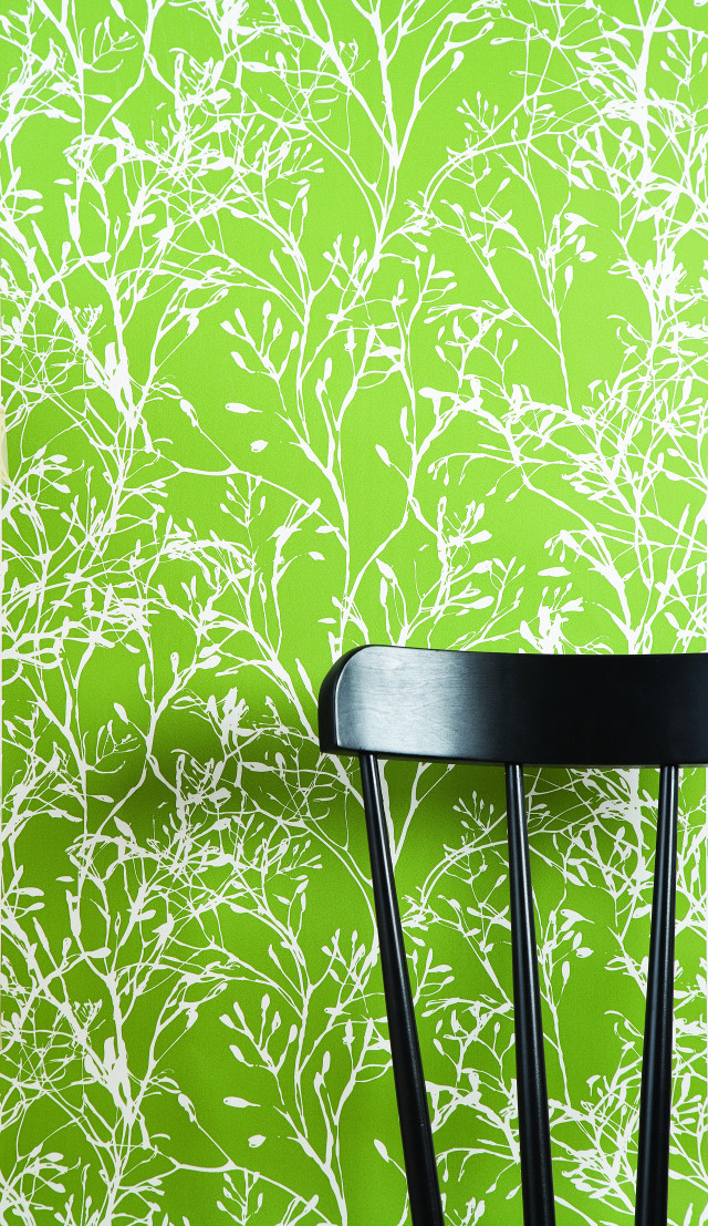 Black table green wall black free wallpaper for mobile - medium preview image