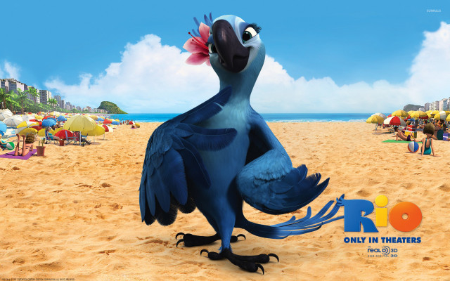 Cartoon character beach bird head free wallpaper for desktop - medium preview image