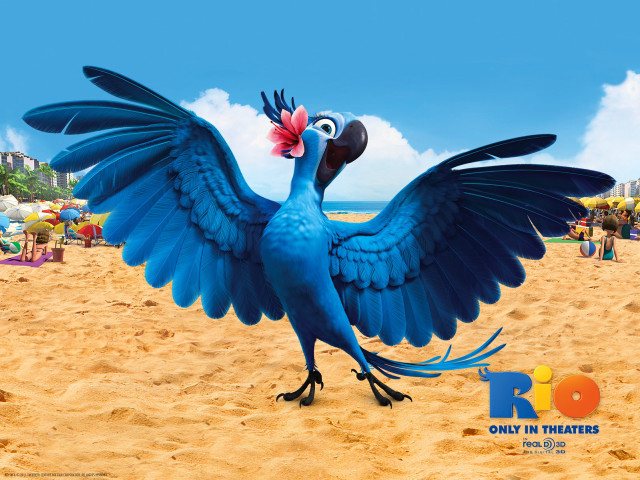 Blue bird wings spread beach free wallpaper for desktop - medium preview image