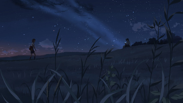 Night sky couple lush field free wallpaper for desktop - medium preview image