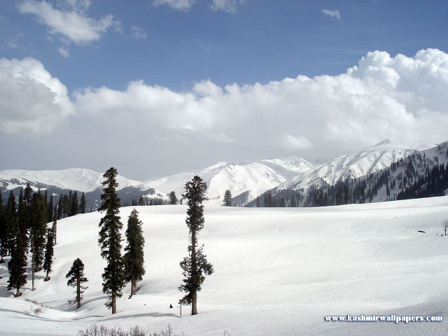 Snowy mountain trees sky clouds #2 free wallpaper for desktop - medium preview image