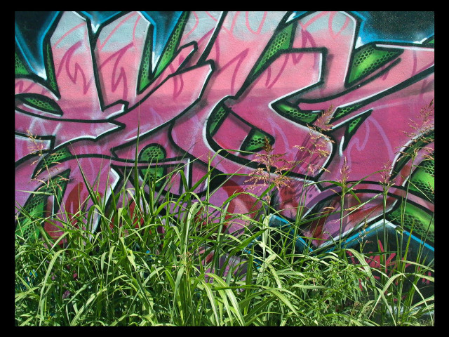 Graffiti wall grass person standing free wallpaper for desktop - medium preview image