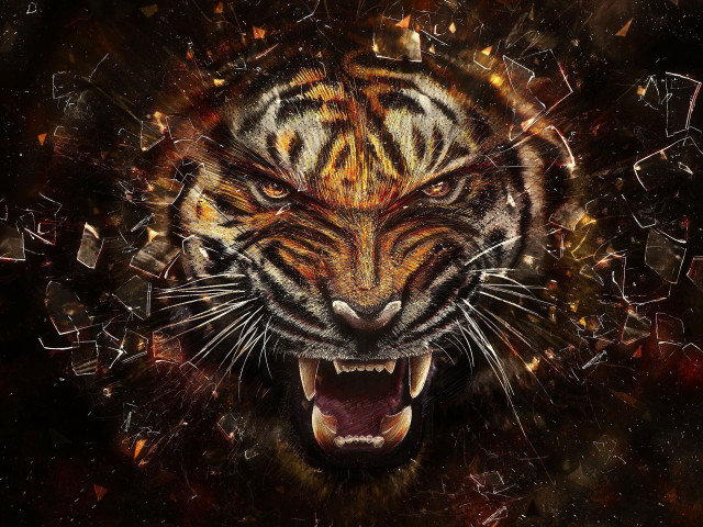 Tiger mouth open teeth wide #4 free wallpaper for desktop - medium preview image