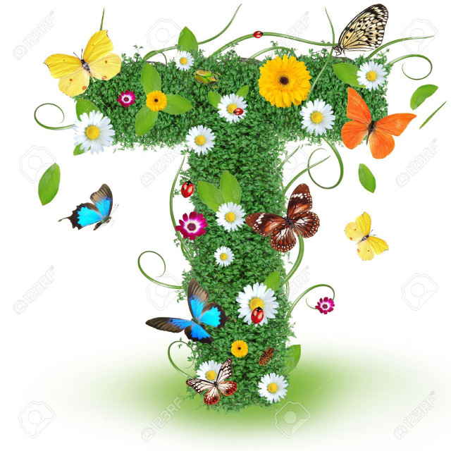 Grass flowers butterflies number one free wallpaper for tablet - medium preview image