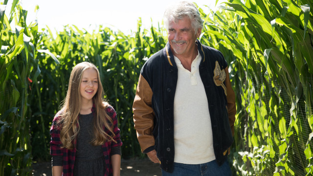 Man girl standing corn field free wallpaper for desktop - medium preview image