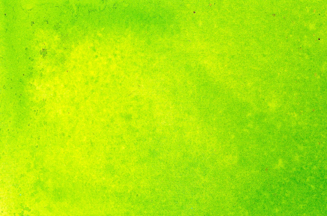 Green background black border white #5 free wallpaper for desktop - medium preview image