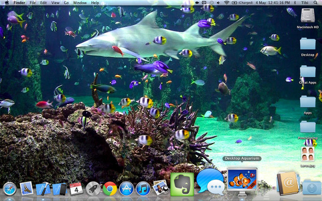 Desktop computer shark fish window free wallpaper for desktop - medium preview image