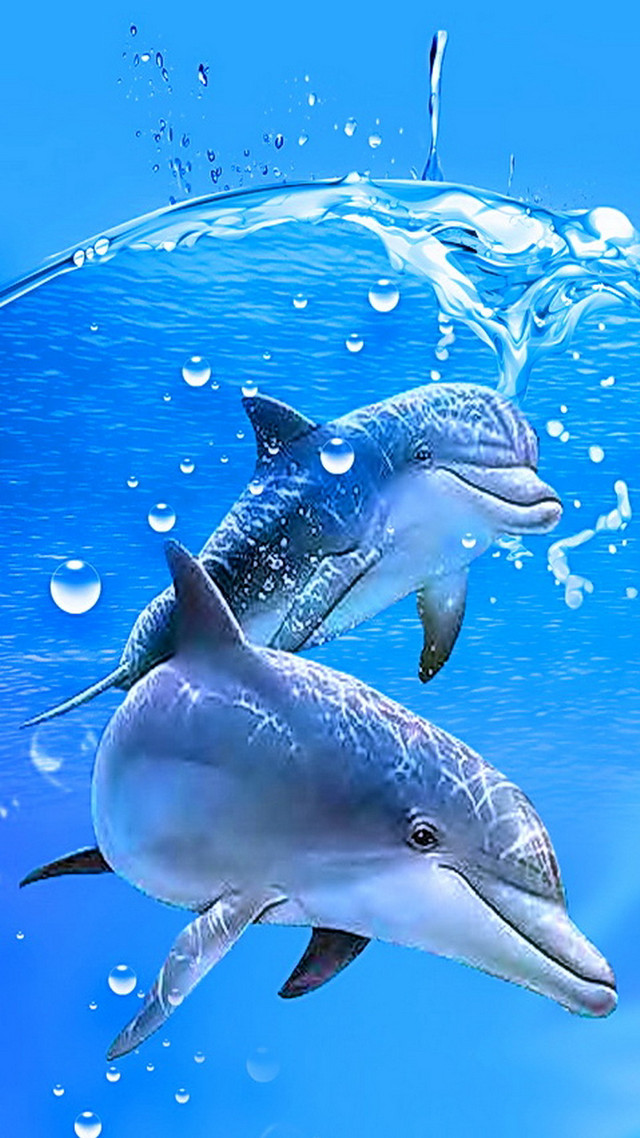 Dolphins swimming ocean bubbles wave free wallpaper for mobile - medium preview image
