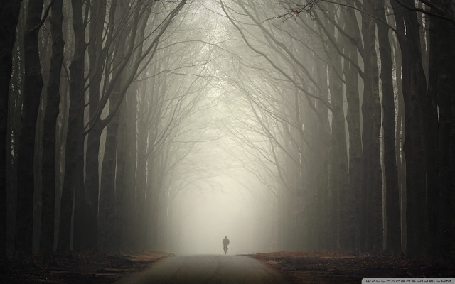 Forest fog person walking road free wallpaper for desktop - medium preview image