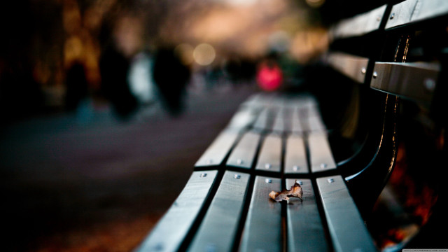 City street bench tilt shift free wallpaper for desktop - medium preview image