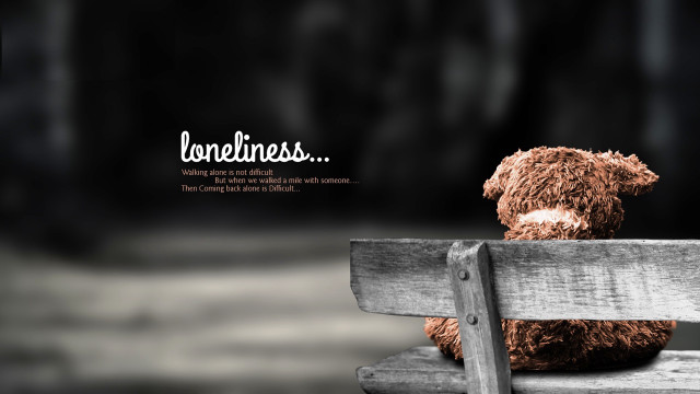Teddy bear bench lovefirsts image free wallpaper for desktop - medium preview image