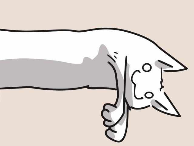 Dog long tail nose sticking free wallpaper for desktop - medium preview image