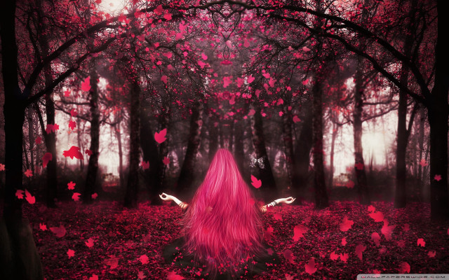 Woman pink hair forest pink free wallpaper for desktop - medium preview image
