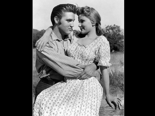 Man woman bench grass trees free wallpaper for desktop - medium preview image