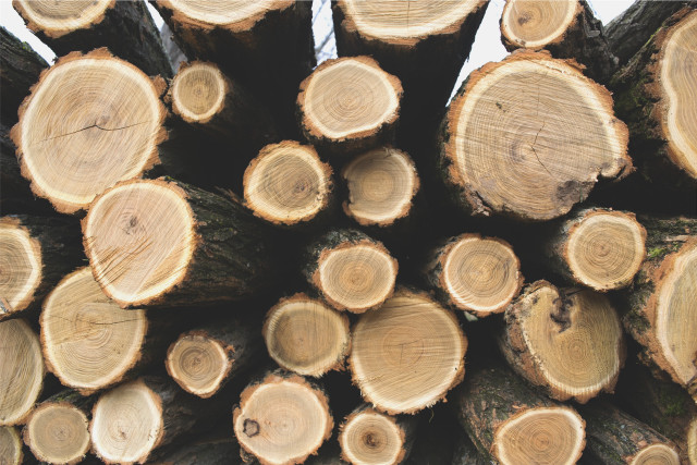 Cut logs stack white background free wallpaper for desktop - medium preview image