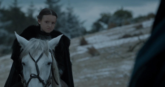 Woman black coat white horse free wallpaper for desktop - medium preview image