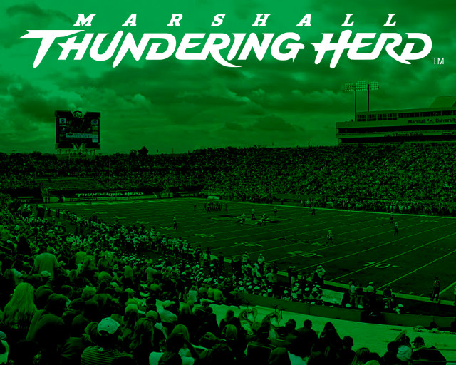 Stadium filled people green background free wallpaper for desktop - medium preview image