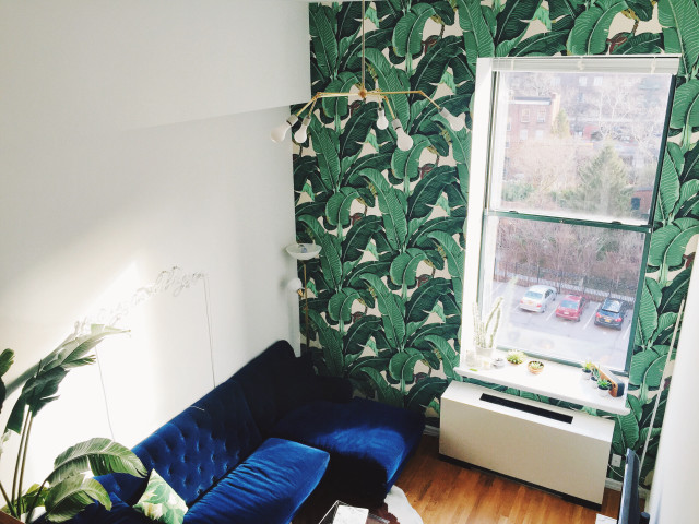 Living room blue couch green #2 free wallpaper for desktop - medium preview image