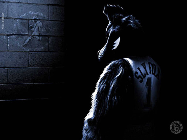 Dog sitting dark head up free wallpaper for desktop - medium preview image