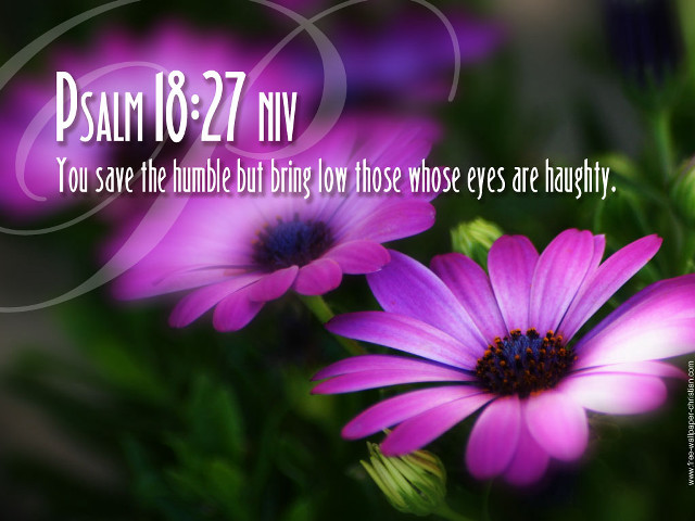 Purple flower bible verse birth free wallpaper for desktop - medium preview image