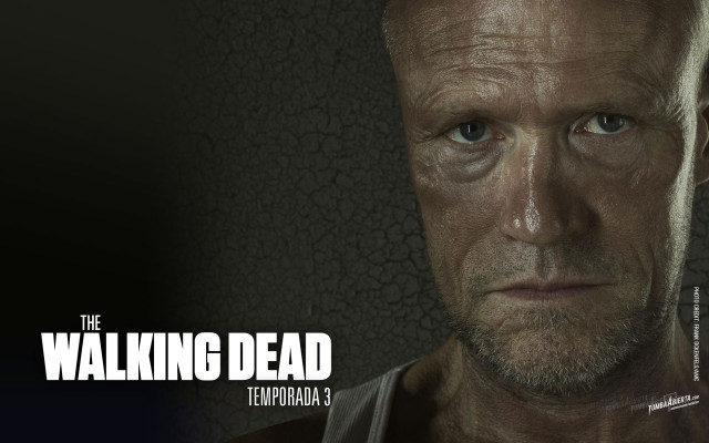 Man beard black shirt the free wallpaper for desktop - medium preview image