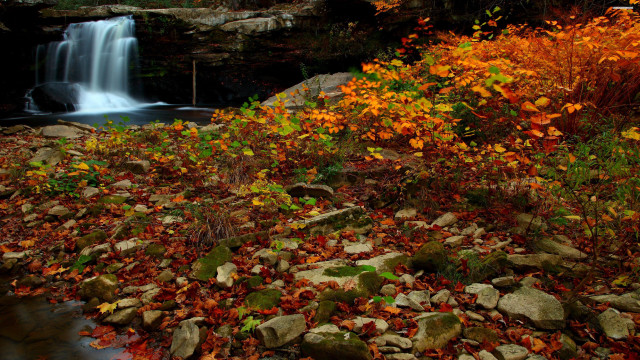 Waterfall rocks fall leaves stream free wallpaper for desktop - medium preview image