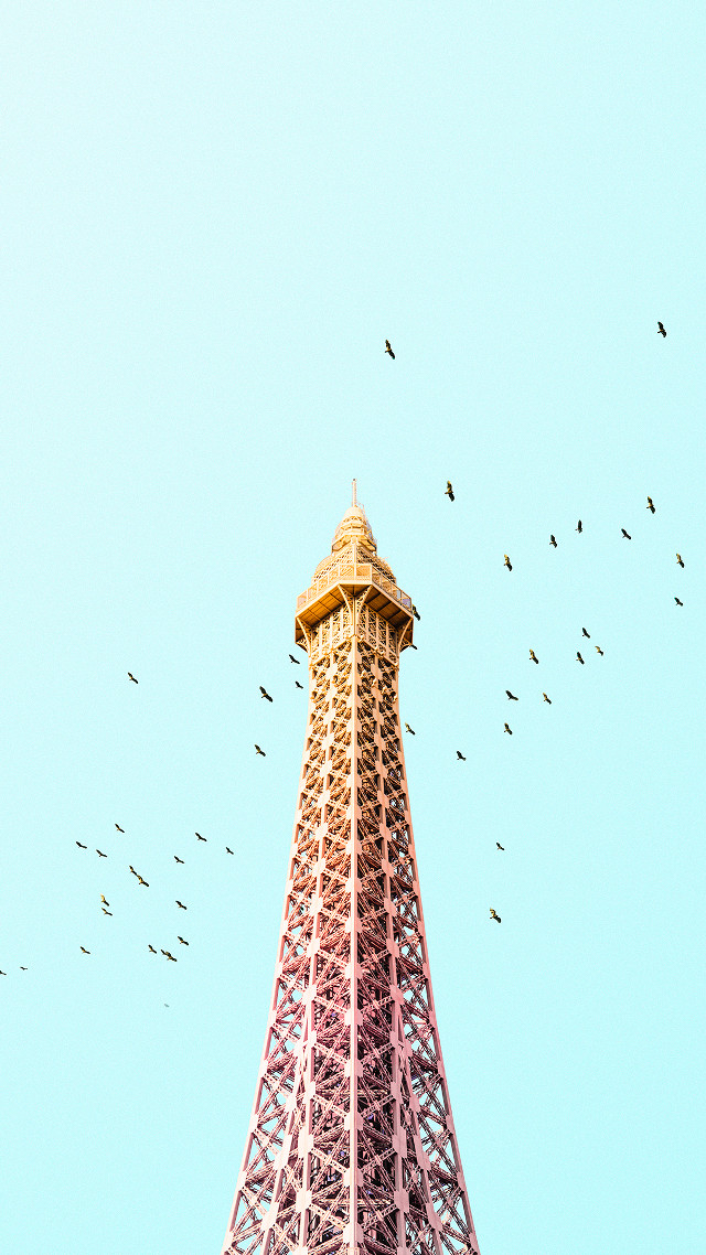 Flock birds flying eiffel tower free wallpaper for mobile - medium preview image