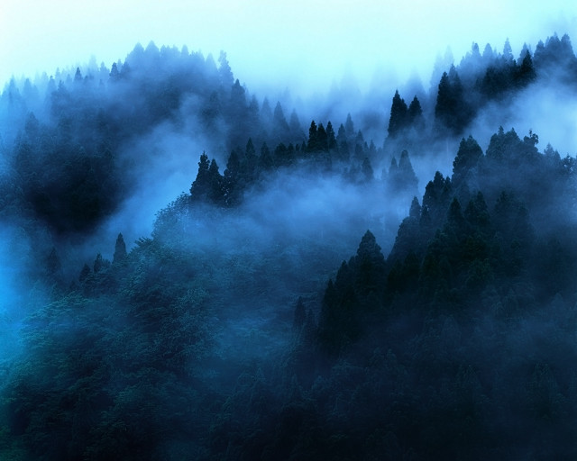 Mountain fog trees distance blue #2 free wallpaper for desktop - medium preview image